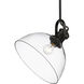 Hines 1 Light 13.5 inch Matte Black Pendant Ceiling Light